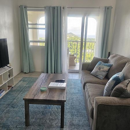 Bethany House - Immaculate Ocean Views Above The Westin Resort - Large Deck Cruz Bay Exteriér fotografie